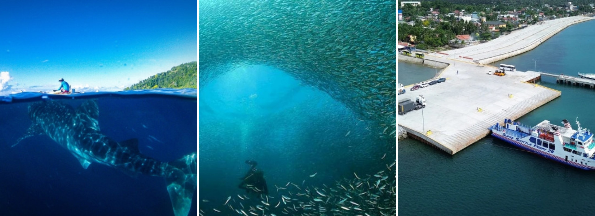 serene oasis resort view